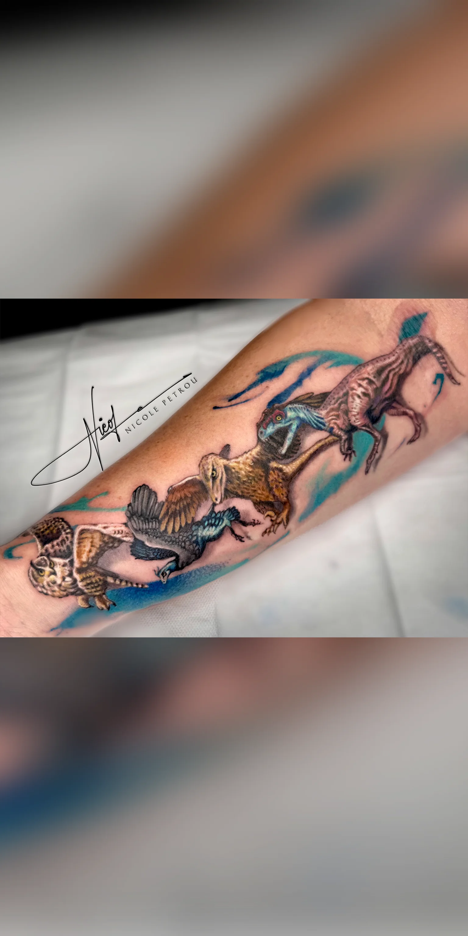 Color Realism tattoo by Nicole Petrou: dinosaur, evolution, owl, birds