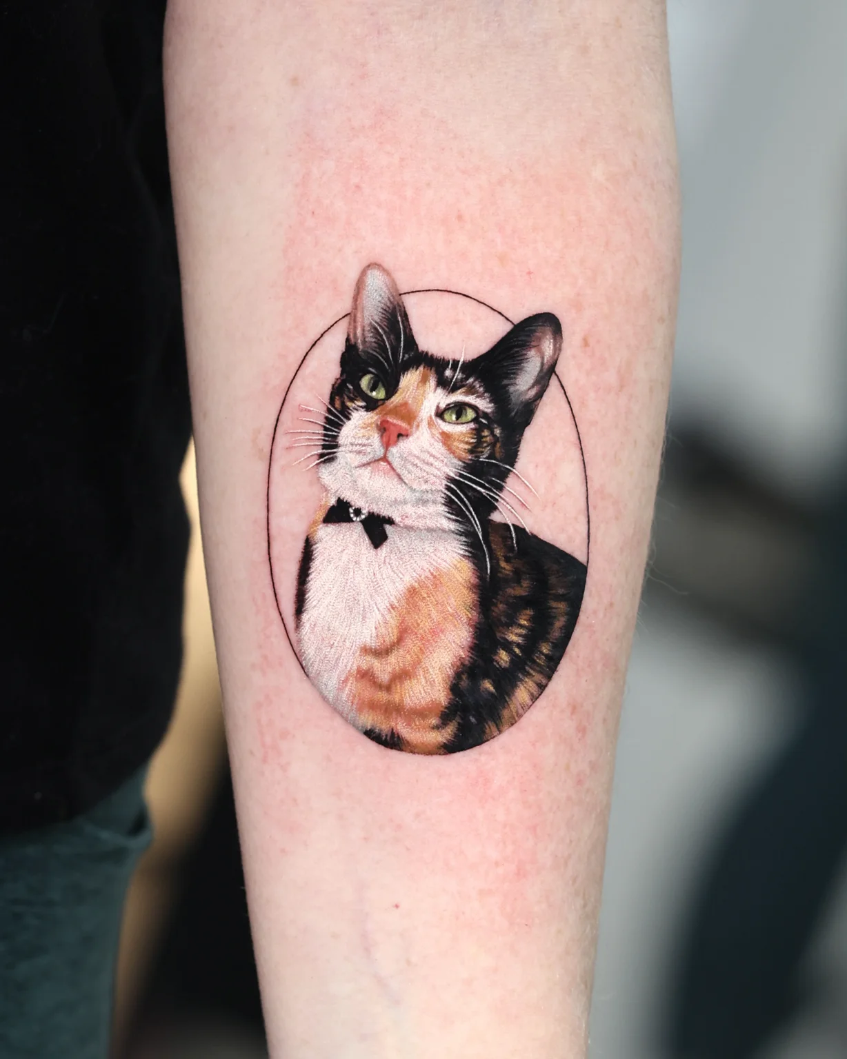 Color Realism tattoo by Dokhwa: cat, calico cat, cat collar, animal