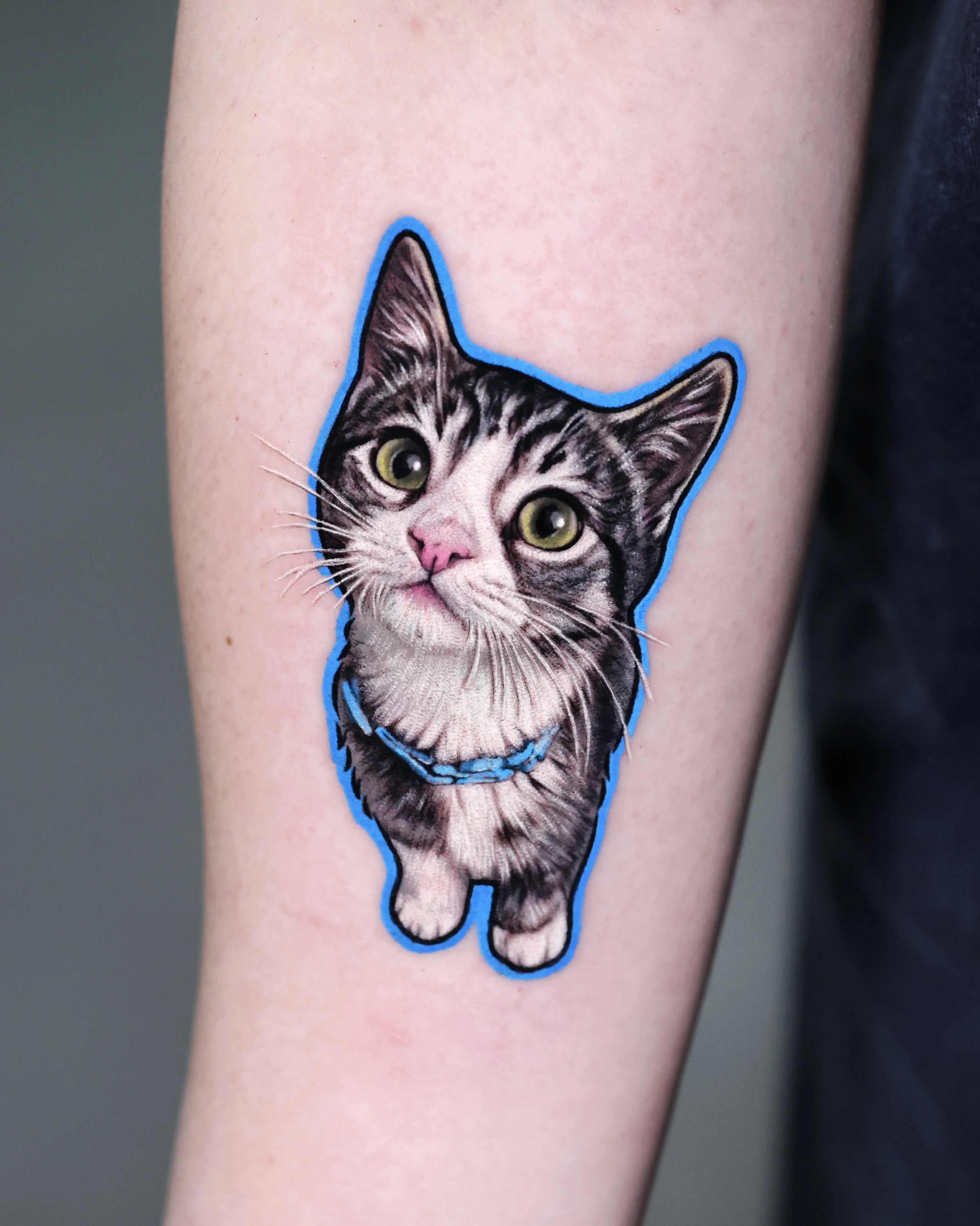 Color Realism tattoo by Dokhwa: cat, collar, animal, nature