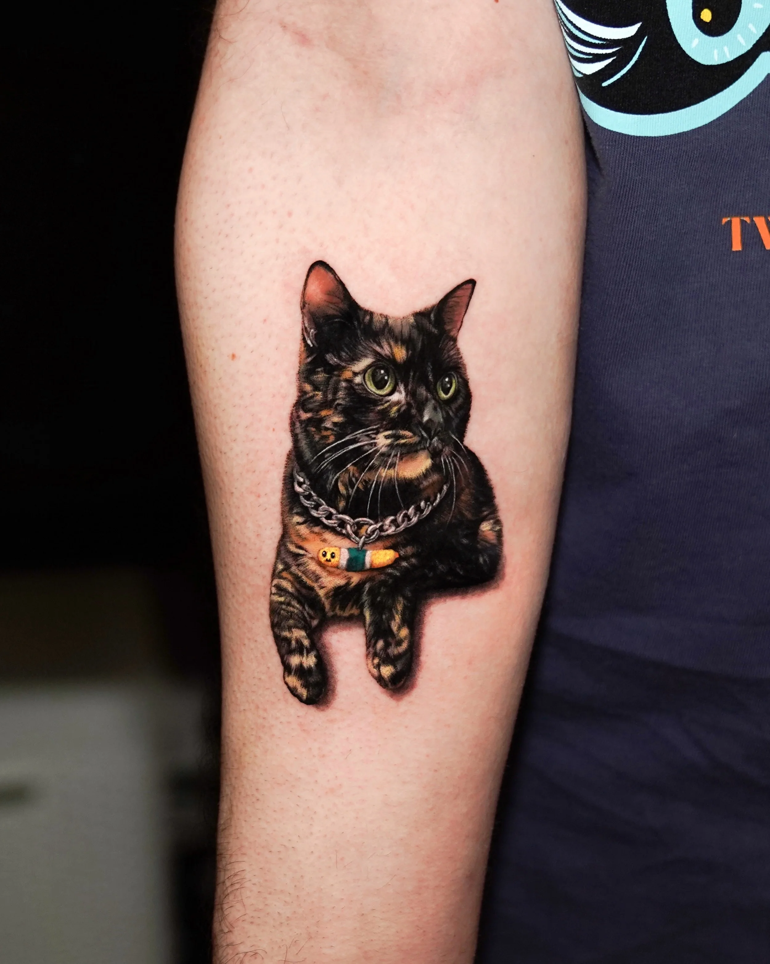 Color Realism tattoo by Dokhwa: cat, collar, tag, chain