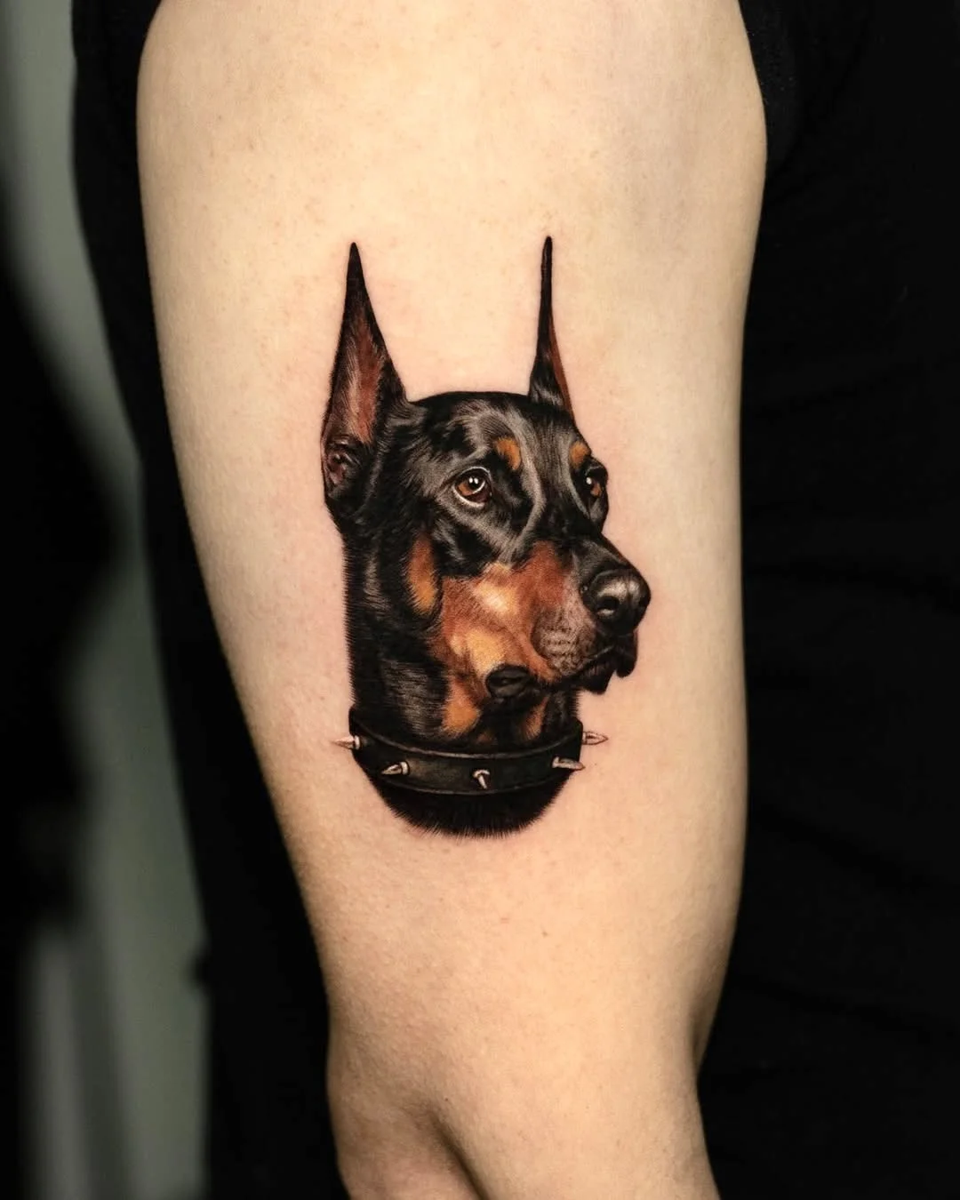 Color Realism tattoo by Dokhwa: doberman dog, dog collar, animal, realism
