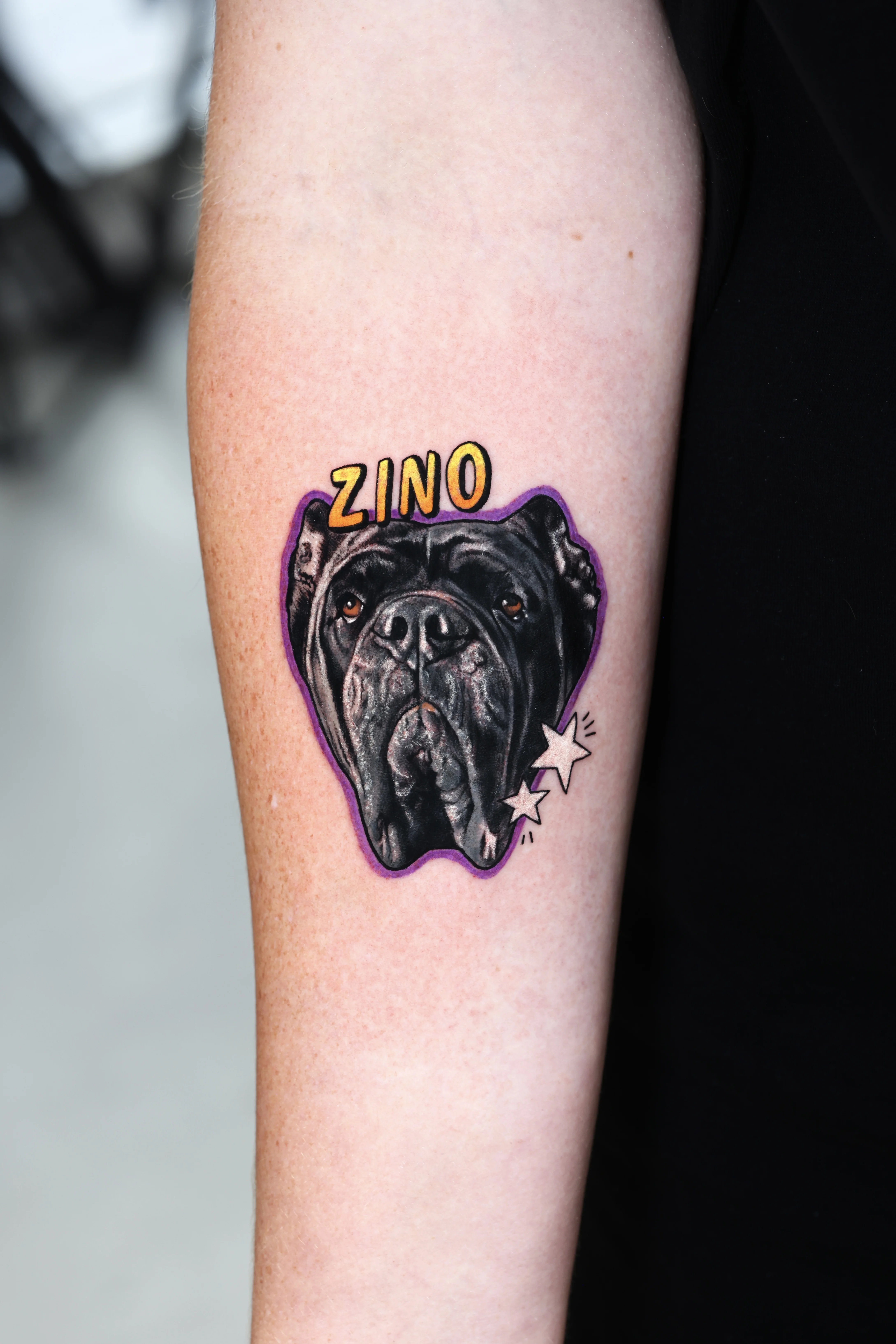 Color Realism tattoo by Dokhwa: dog, stars, animal, pet