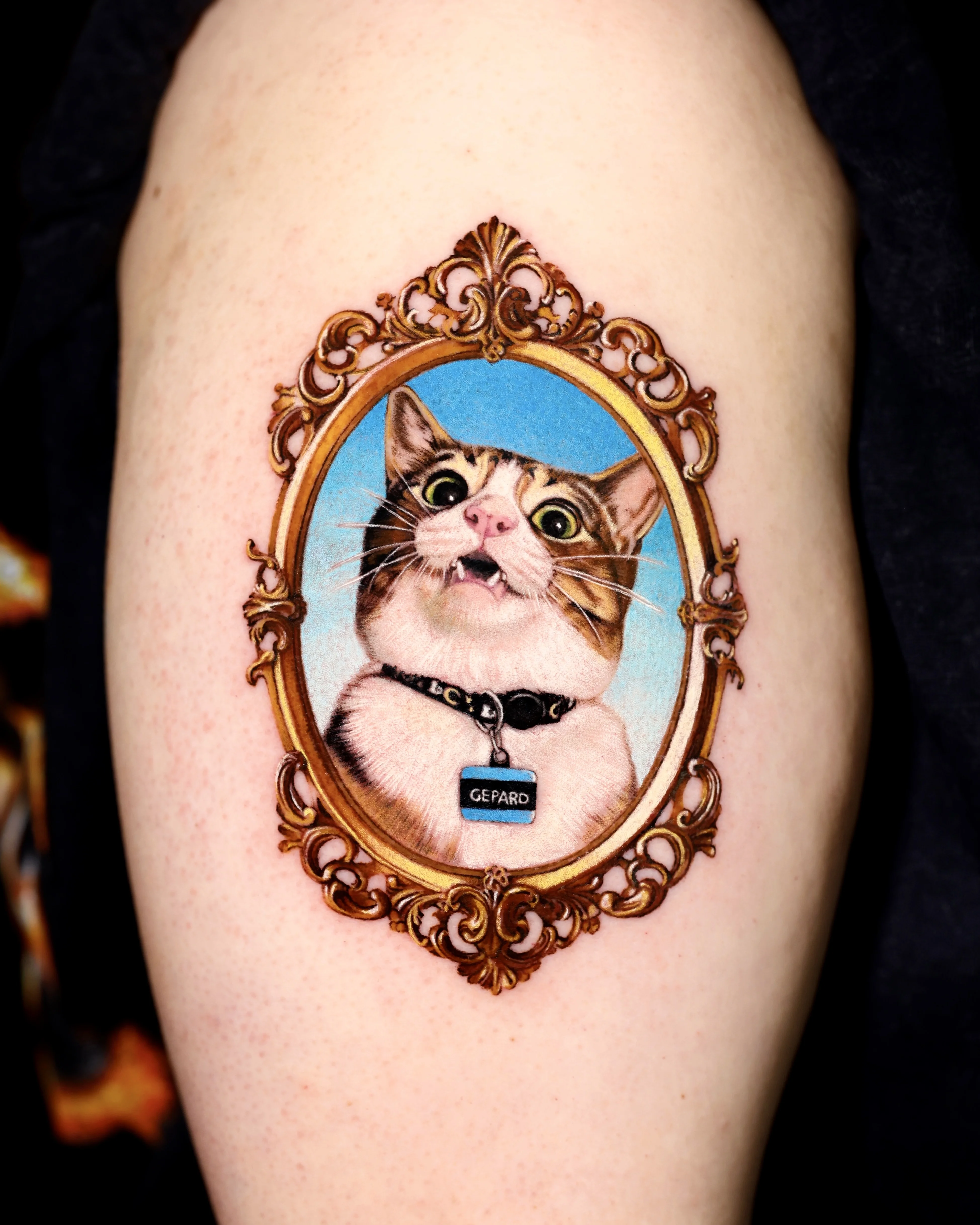Realistic Cat Portrait In Ornate Frame: pet portrait, cat, collar, pet tag, picture frame, animal