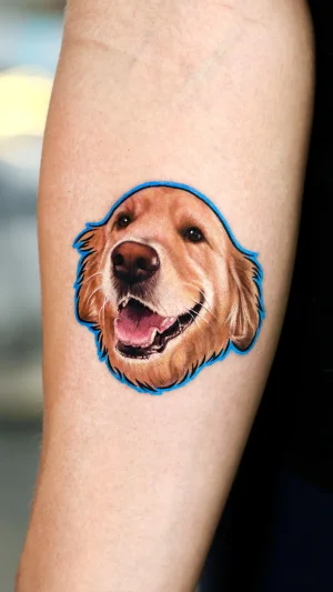 Golden Retriever Color Realism Portrait