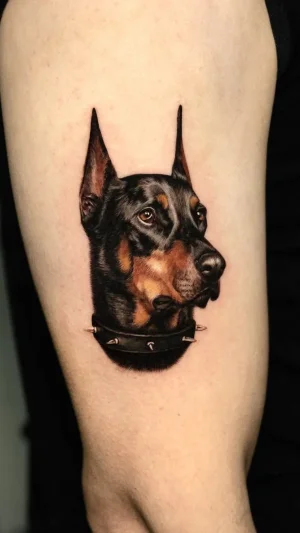 Doberman Head Color Realism