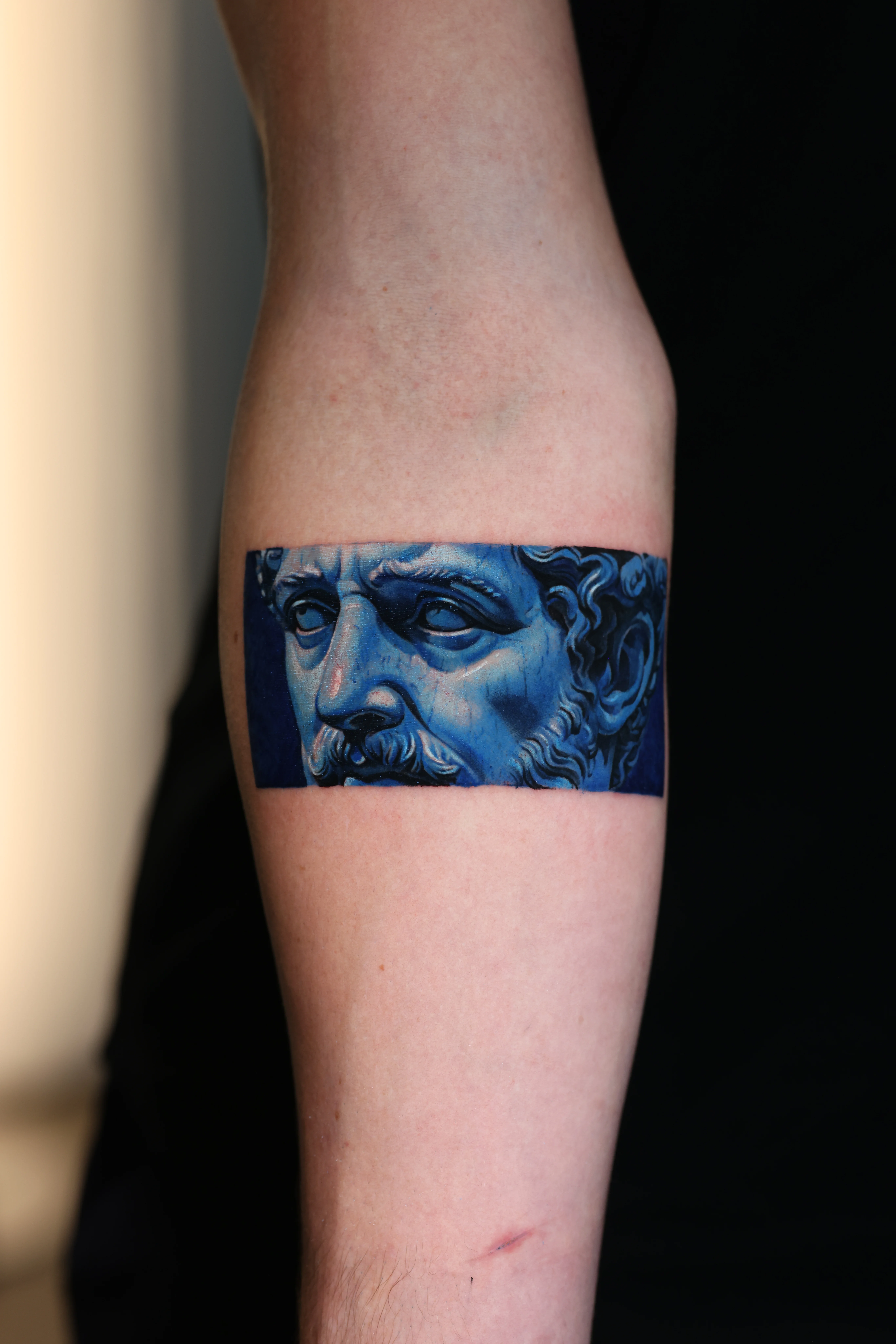 Classical Male Face Forearm: male face, beard, classical sculpture, portrait, classical, realism