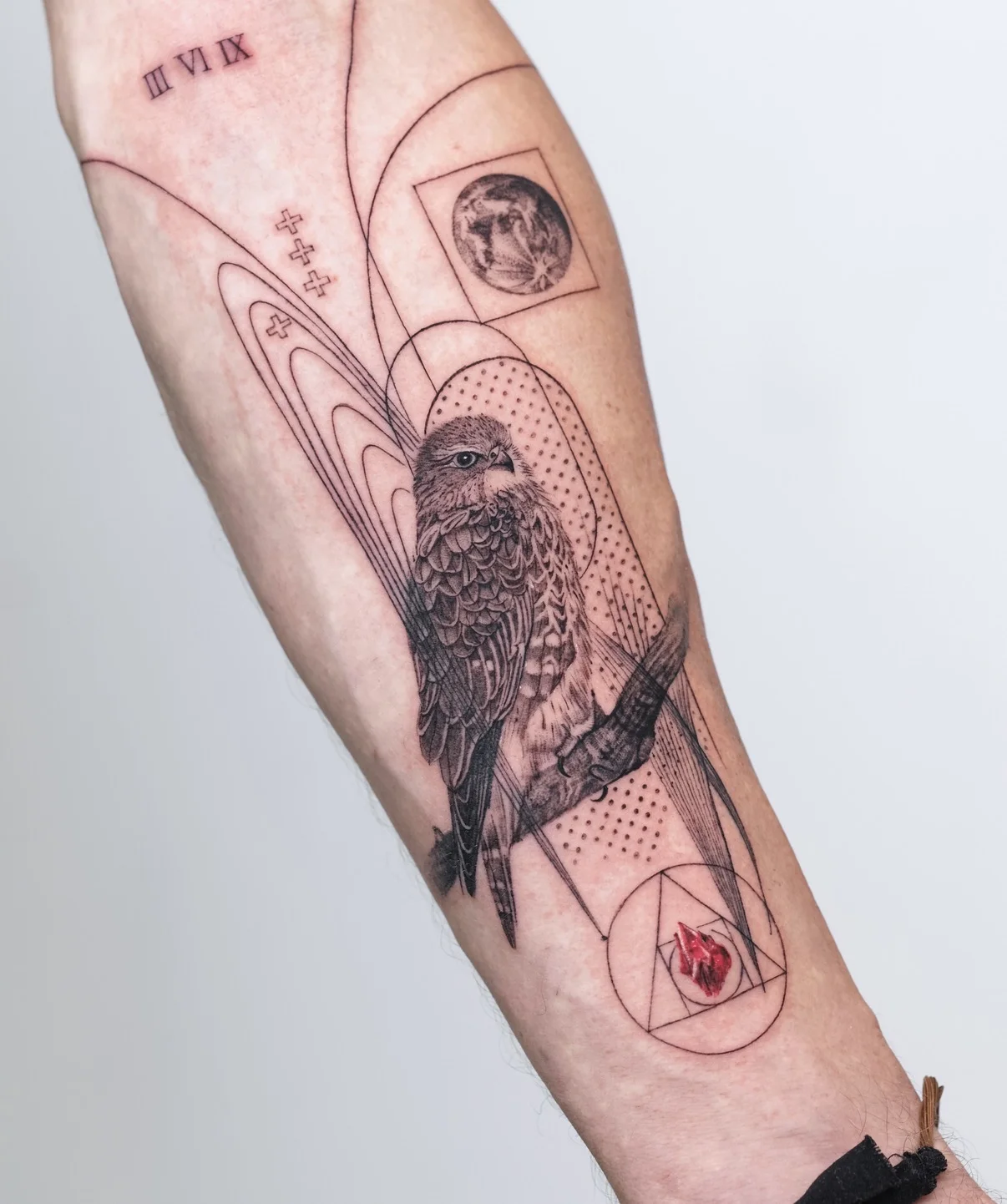 Realistic Bird Forearm Design: bird, branch, geometric shapes, roman numerals, nature, geometric