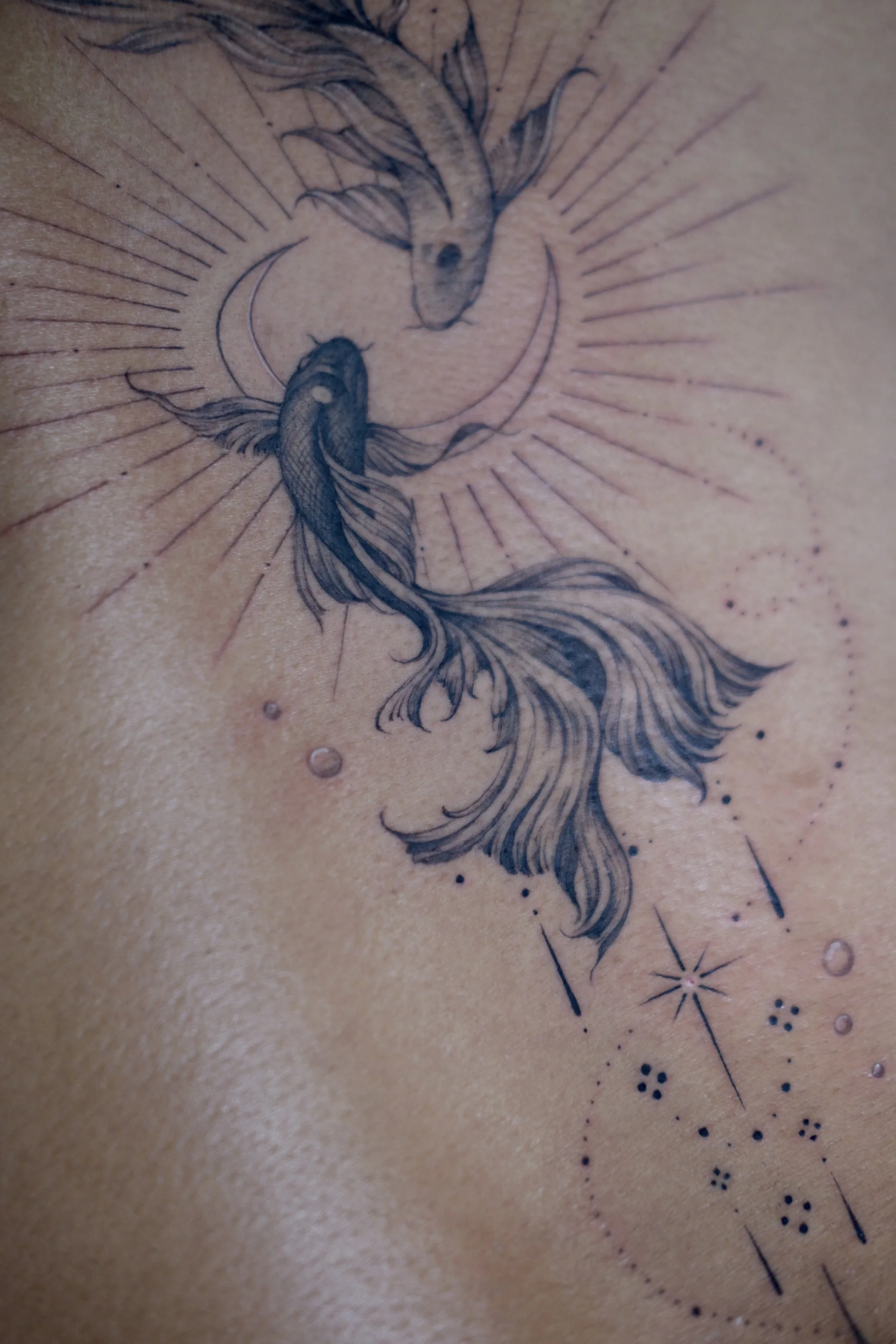 Fine Line Koi Fish Rib Piece: koi fish, rays, stars, circles, nature, spiritual