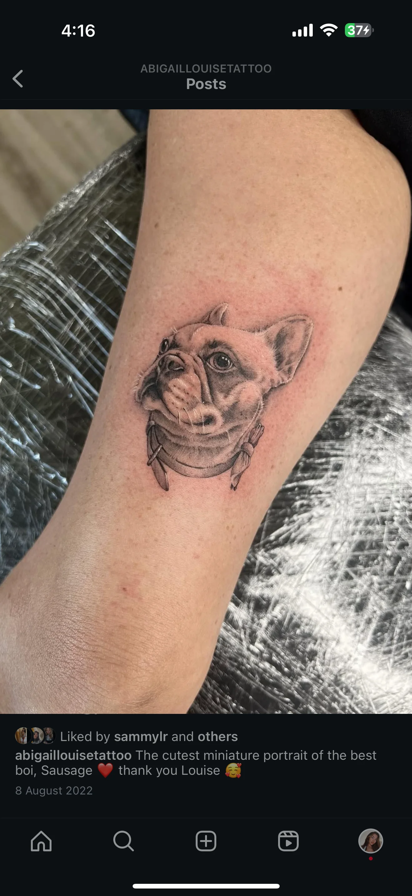 Black & Gray Realism tattoo by Abigail Louise: french bulldog, dog collar, animal, pet