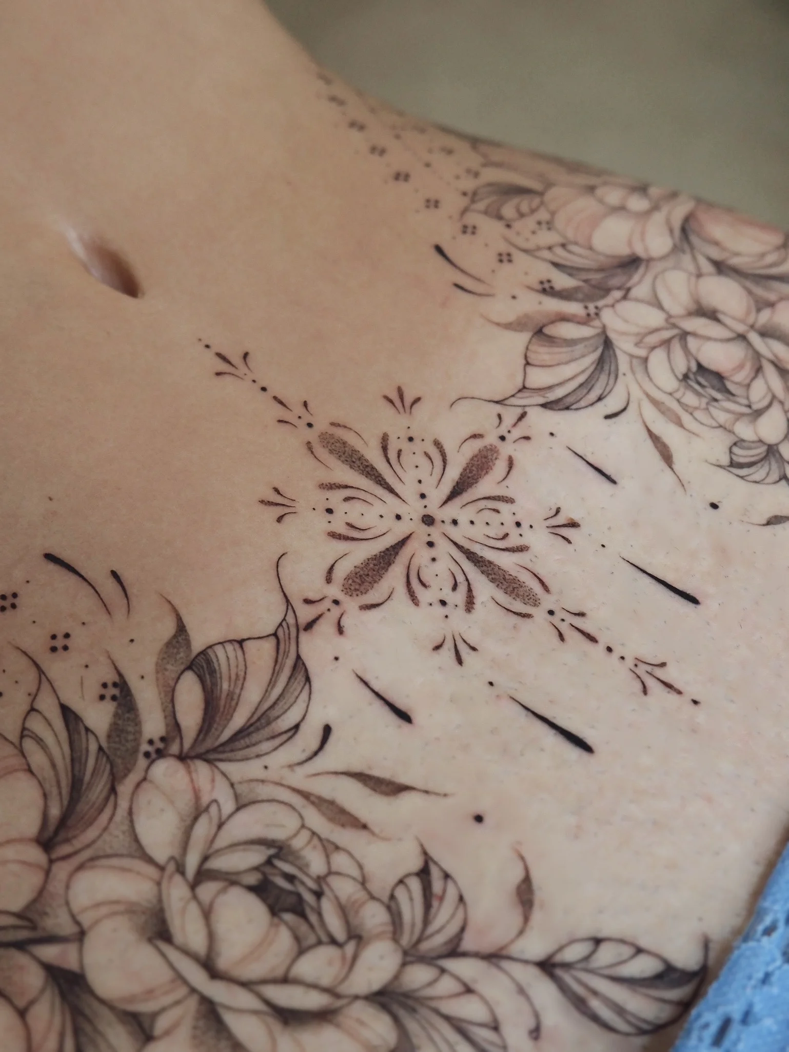Delicate Floral Fine Line Stomach: flower, leaf, decorative flourish, floral, nature, delicate