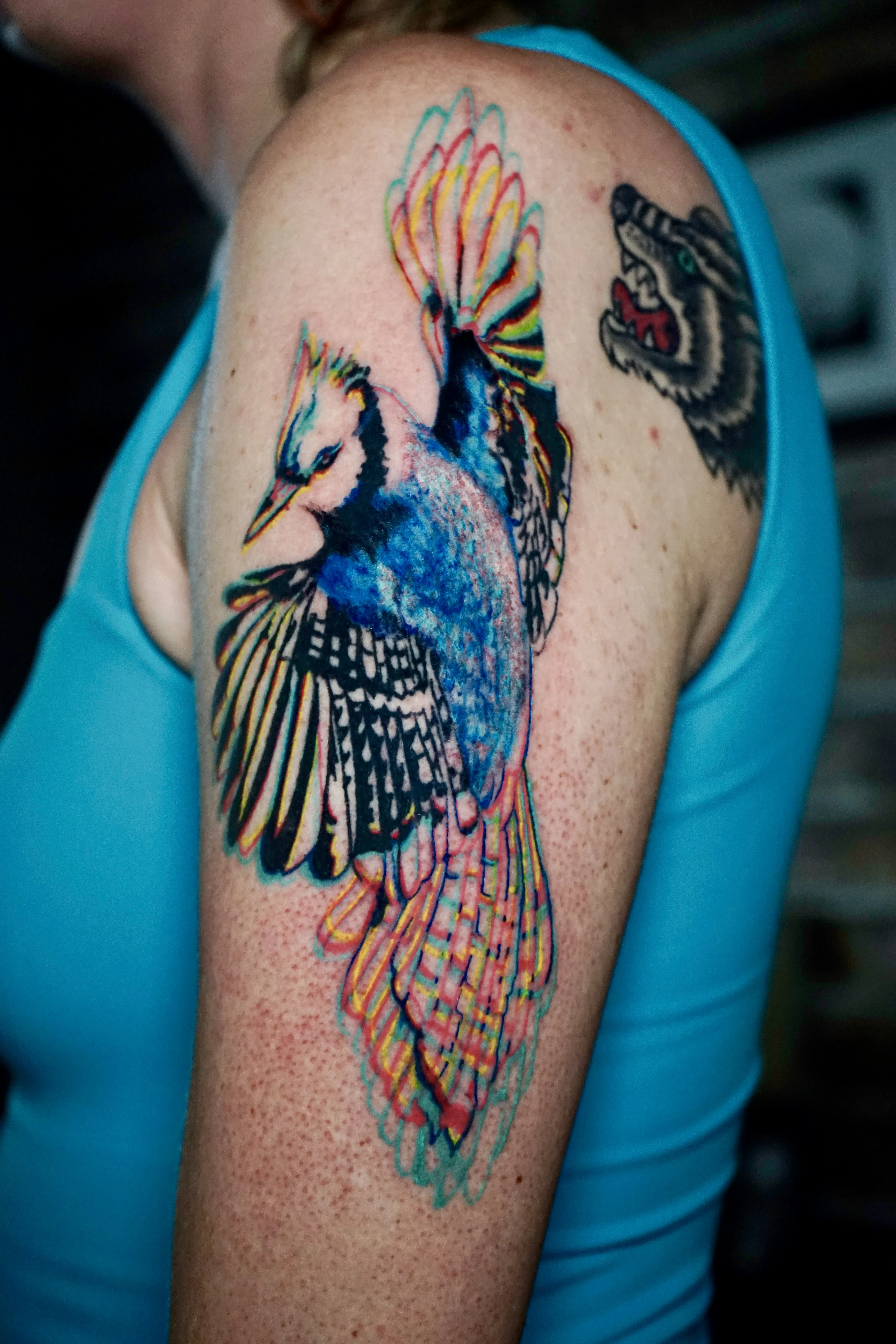 Color Realism tattoo by Nyahzul: bird, blue jay, wolf head, nature
