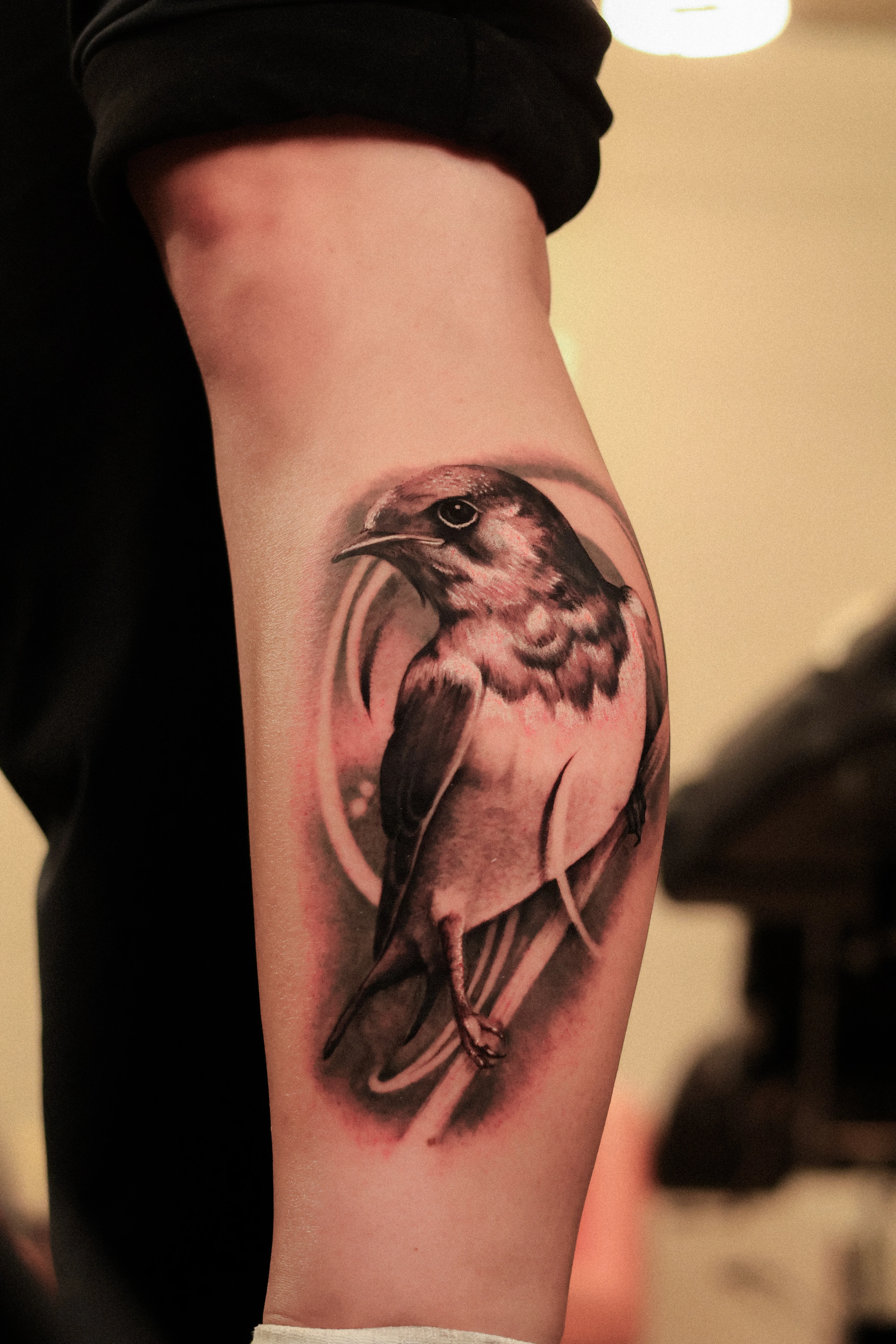 Black & Gray Realism tattoo by Emiliano Garrido: bird, nature, animal, realistic