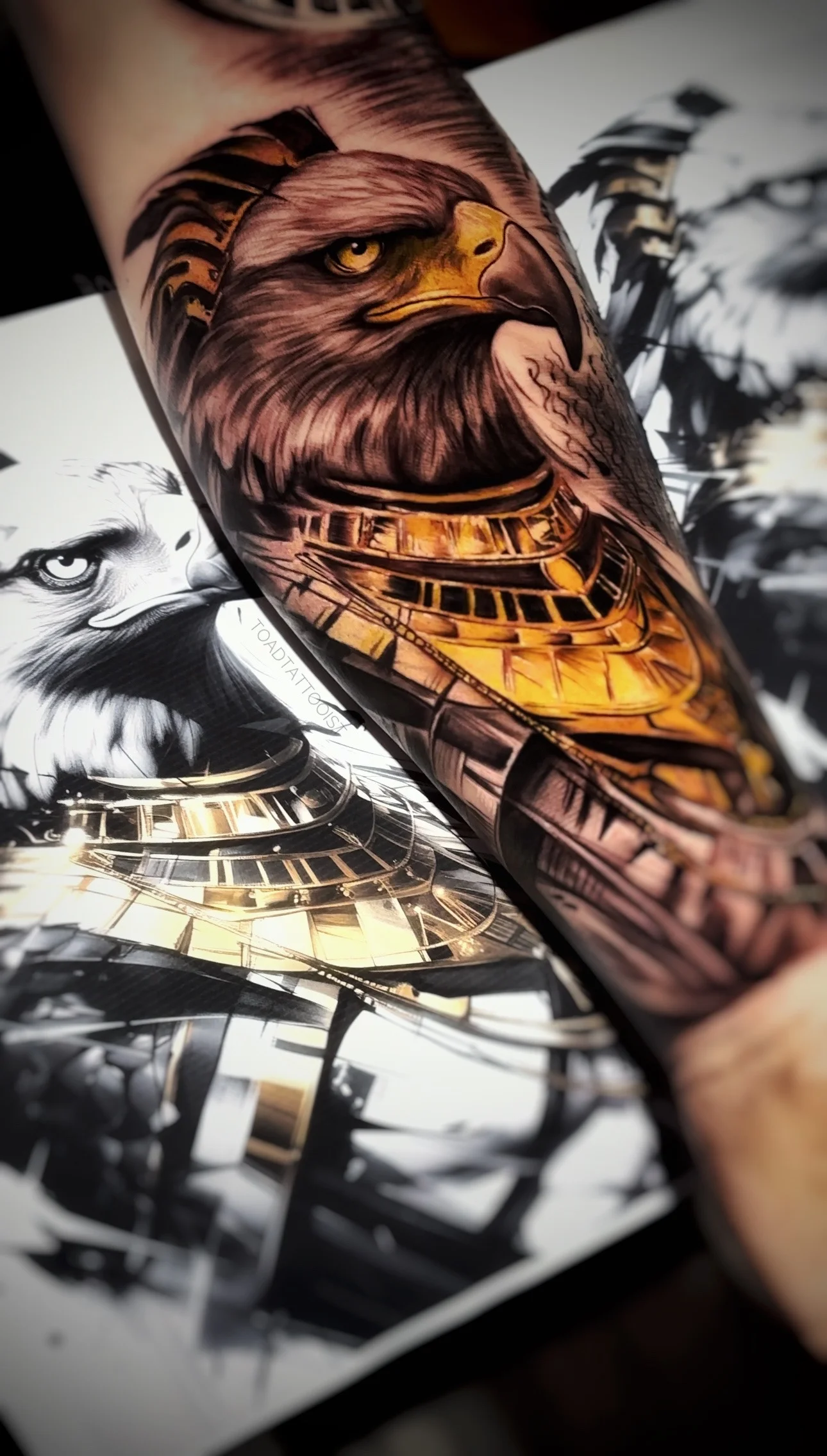 Color Realism tattoo by TOAD: eagle head, armor, nature, animal