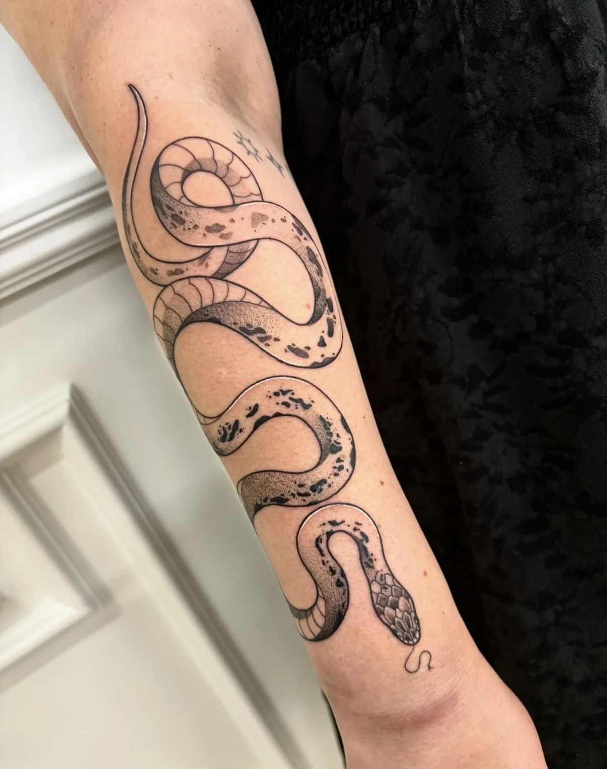 Minimal Fine Line Snake Forearm: snake, nature, animal, detailed, minimal, black