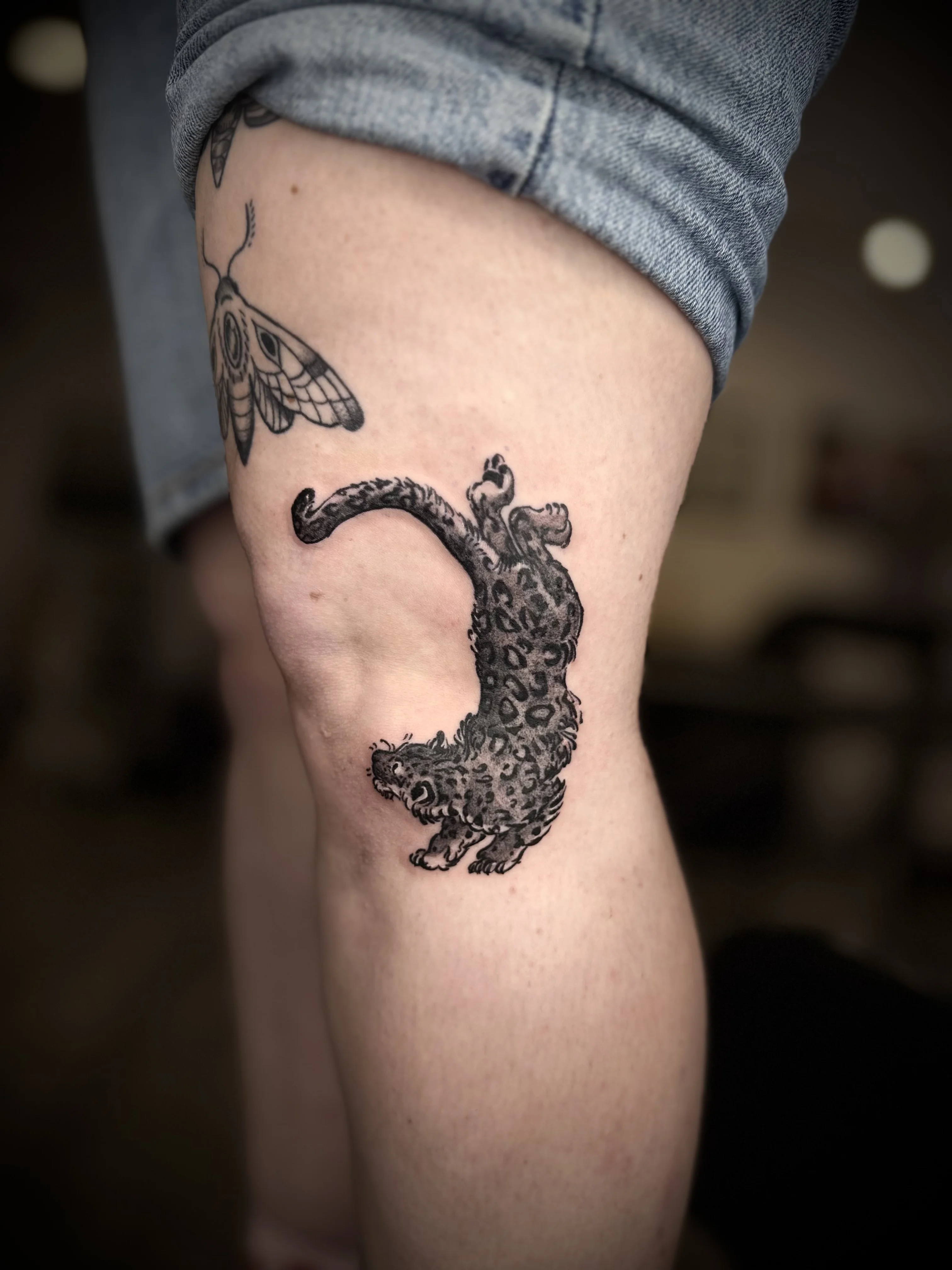 Leopard and Moth Thigh Art: leopard, moth, animal, nature, wildlife, detailed