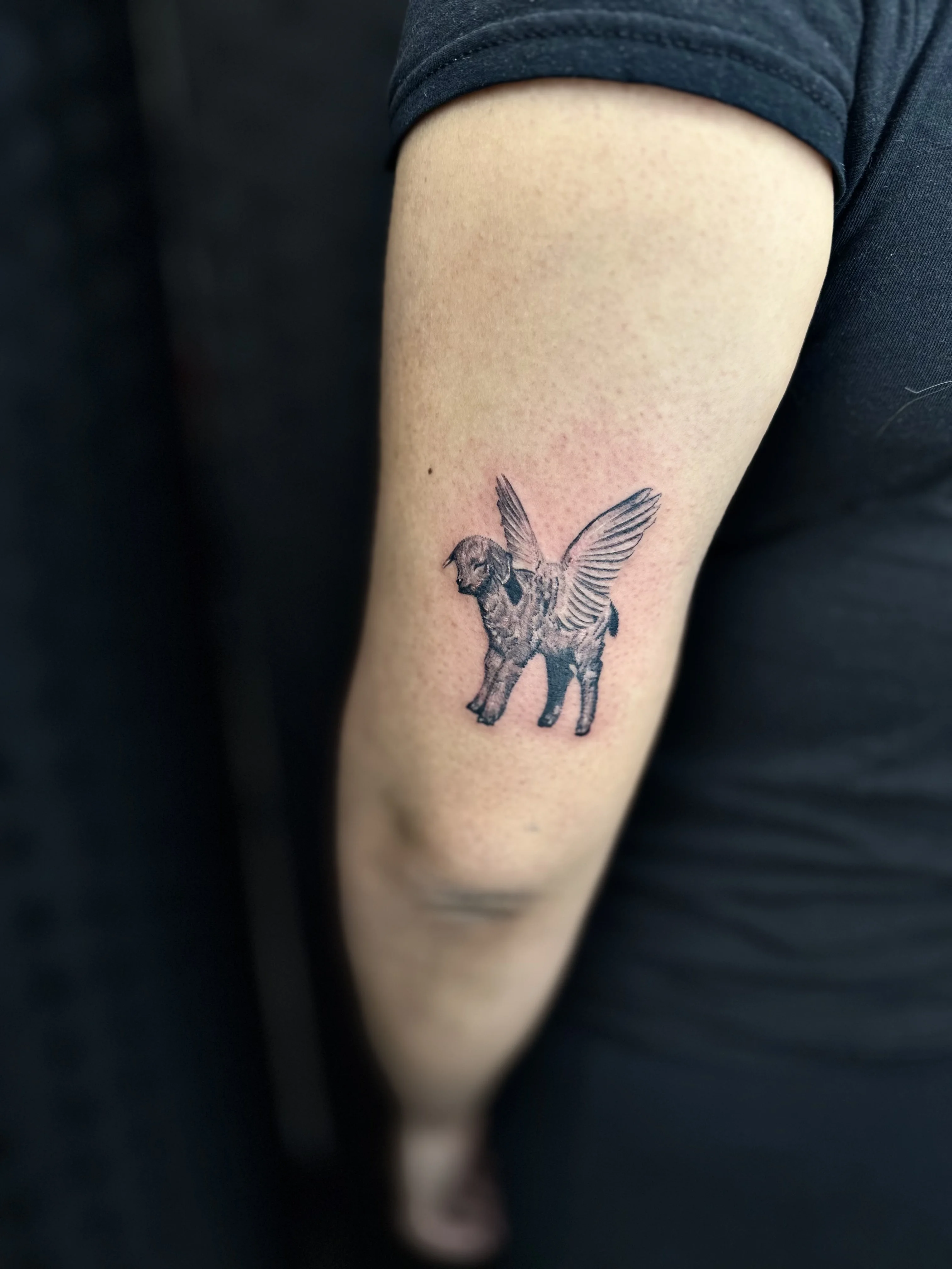 Black & Gray Realism tattoo by Churry Tattoos: dog, wings, animal, fantasy