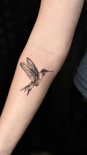 Delicate Hummingbird Fine Line