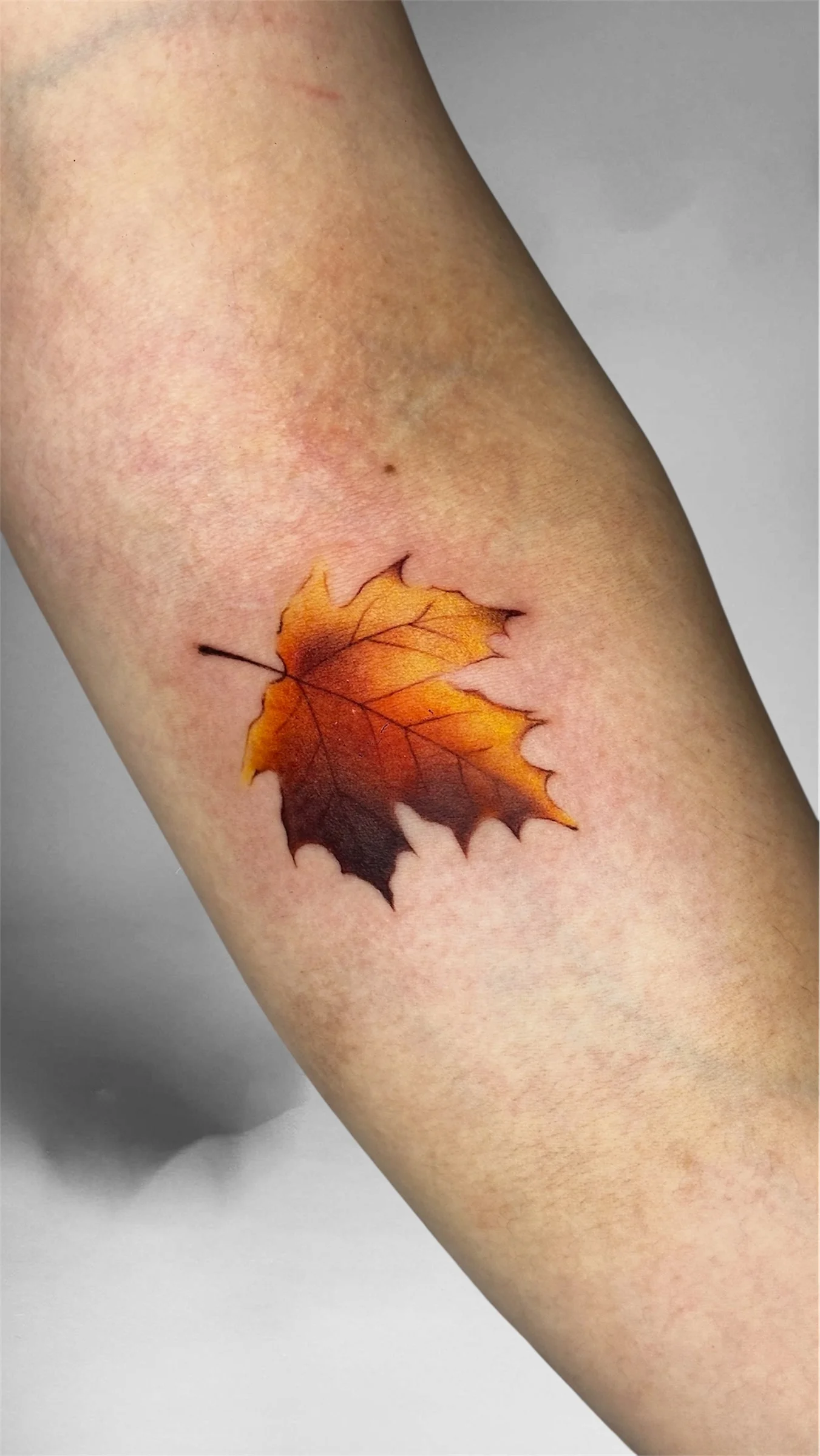Color Realism tattoo by Kerasu: maple leaf, nature, seasonal, autumn