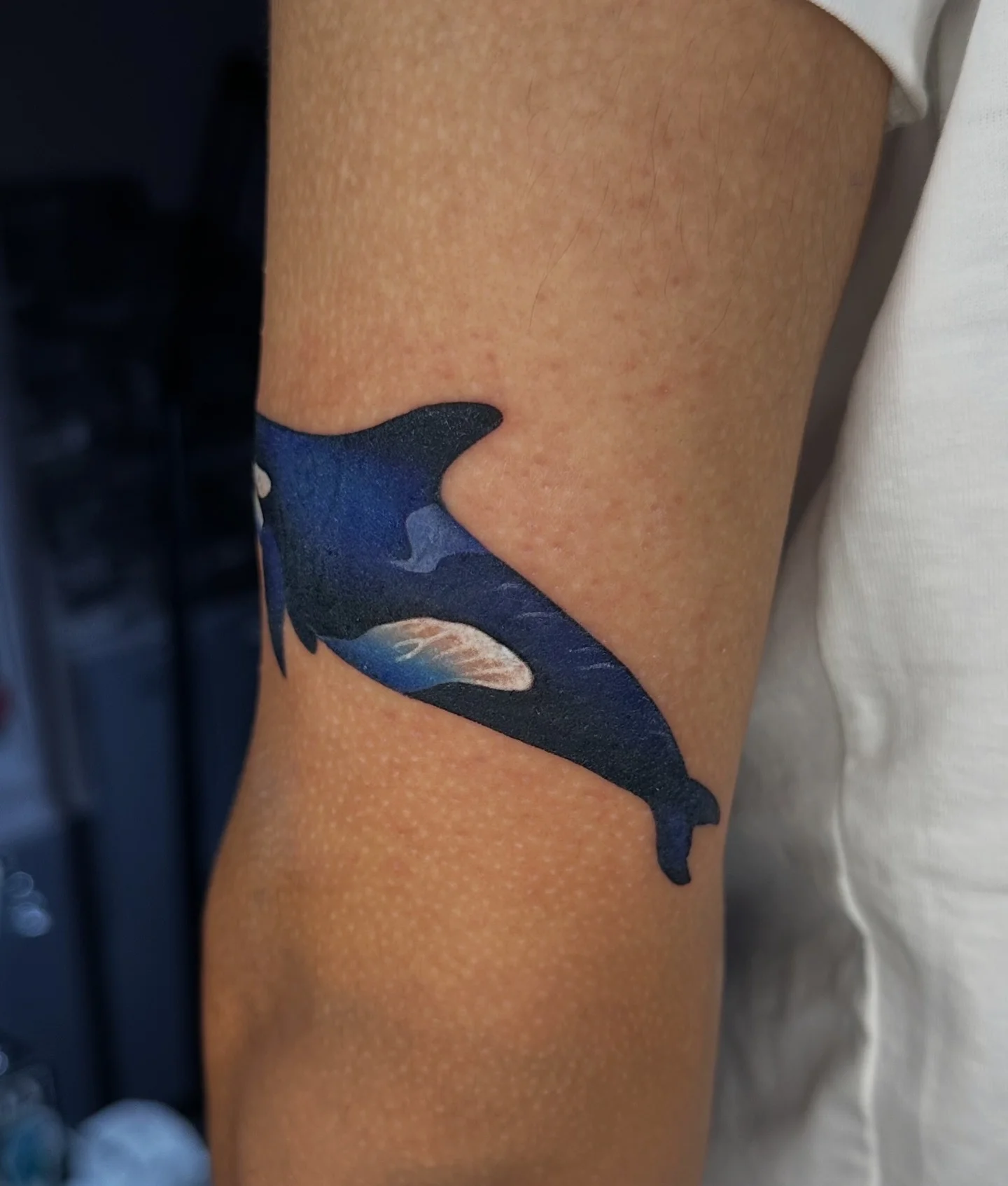 Color Realism tattoo by Kerasu: killer whale, orca, animal, nature