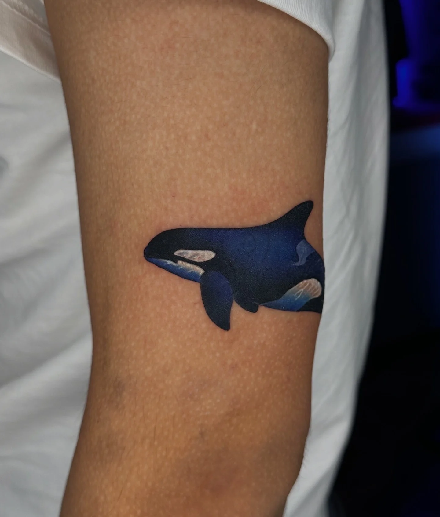 Color Realism tattoo by Kerasu: orca whale, nature, animal, ocean