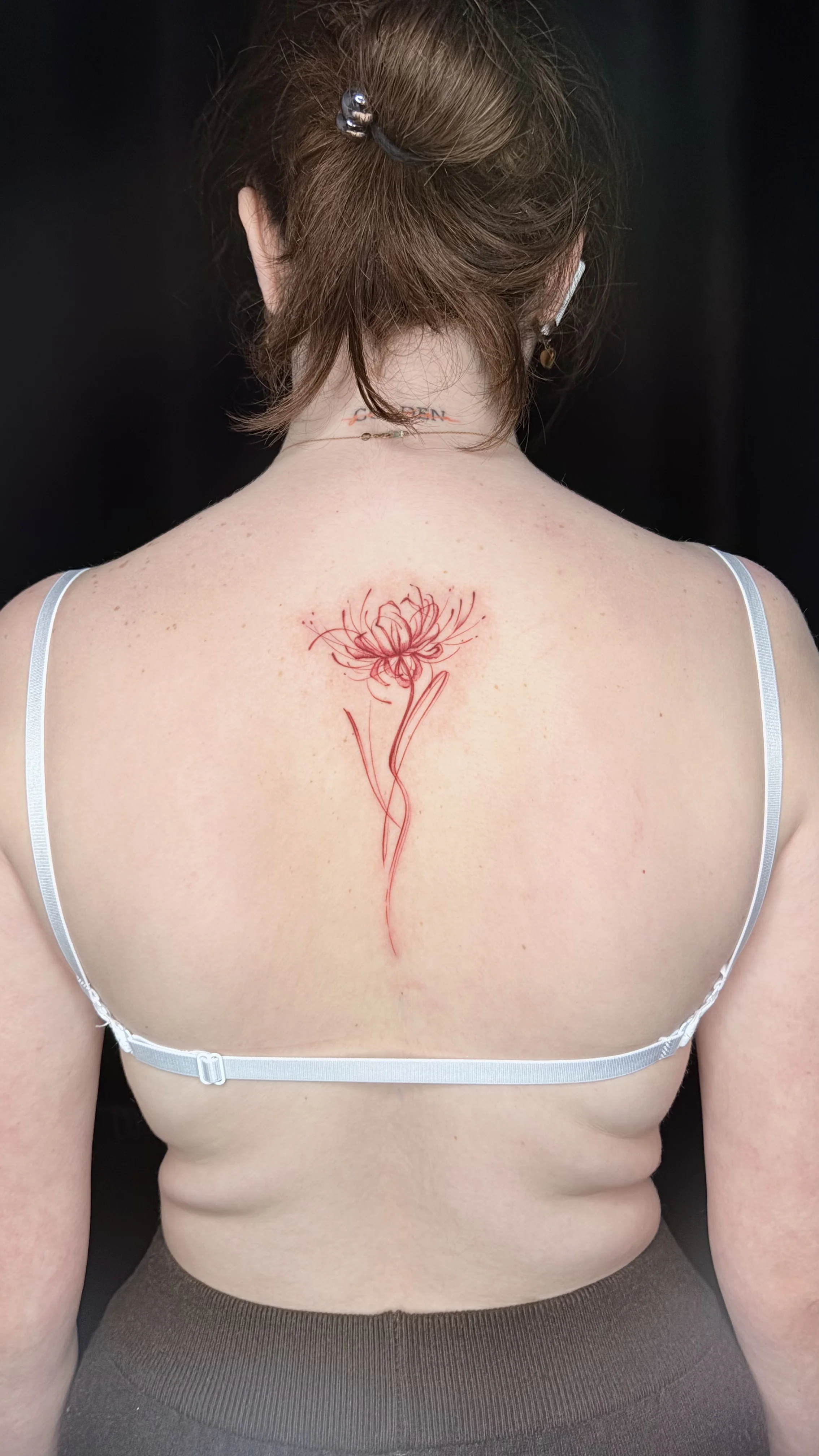 Delicate Red Fine Line Flower Back: flower, stem, petals, floral, nature, minimal