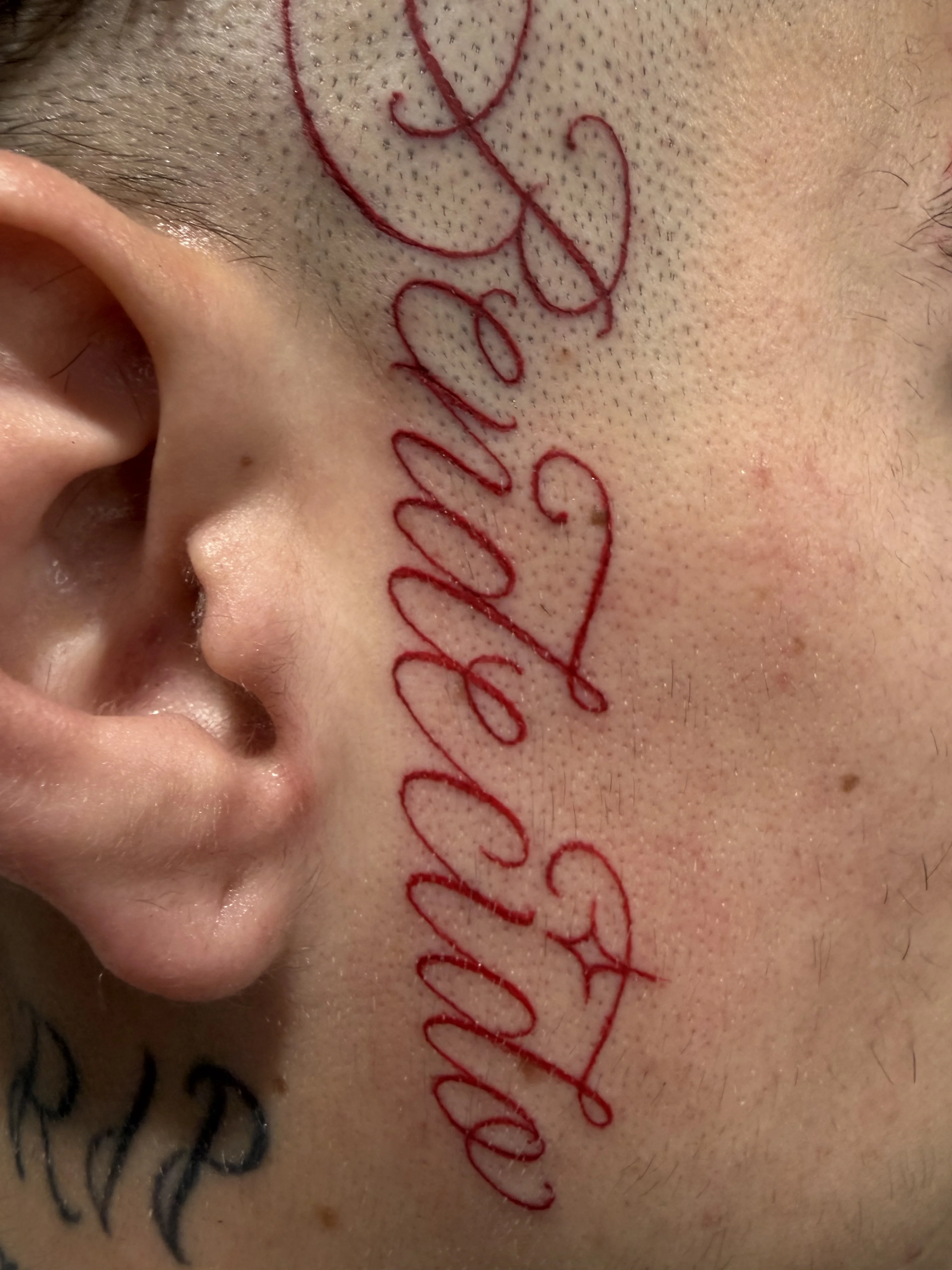 Fine Line Red Script Face: script, text, name, memorial, personal, delicate