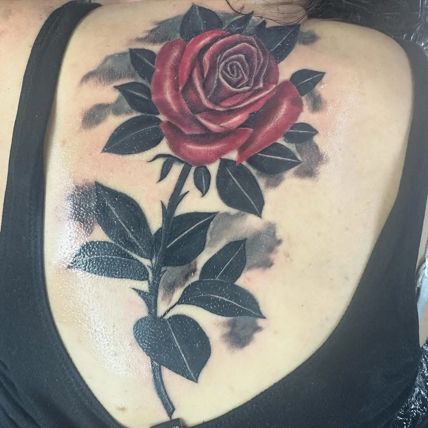 Bold Red Rose Back Piece: rose, leaves, stem, floral, nature, romantic