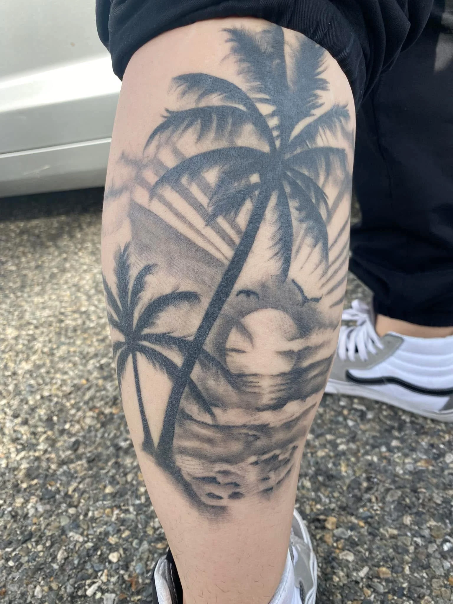 Black & Gray Realism tattoo by Bumpy Munoz: palm trees, sunset, birds, ocean