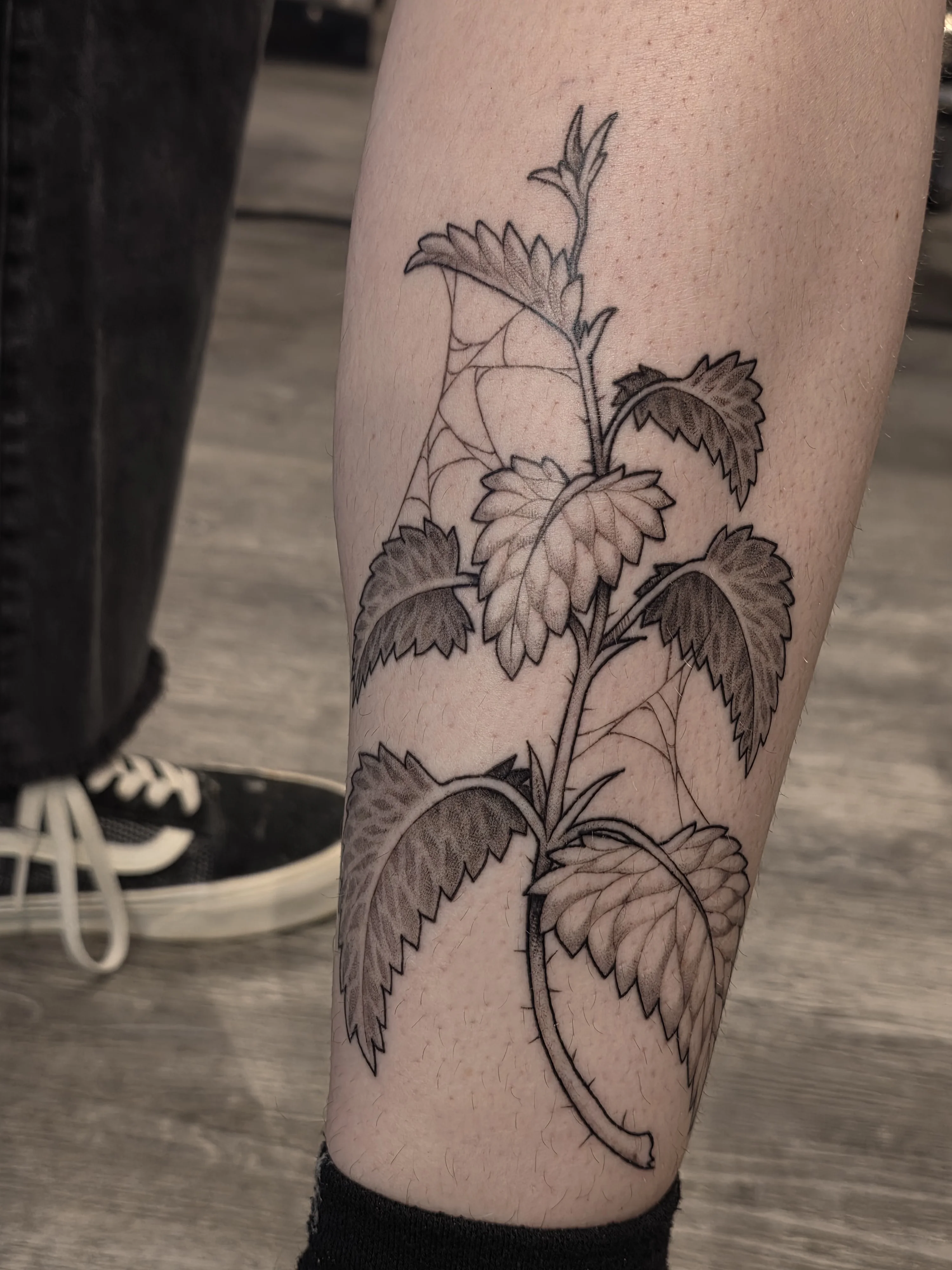 Blackwork tattoo by UrchinBite: nettle plant, leaves, web, stem